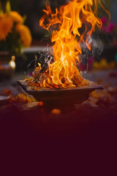 sriagasthiyarnadi-astrology-homam